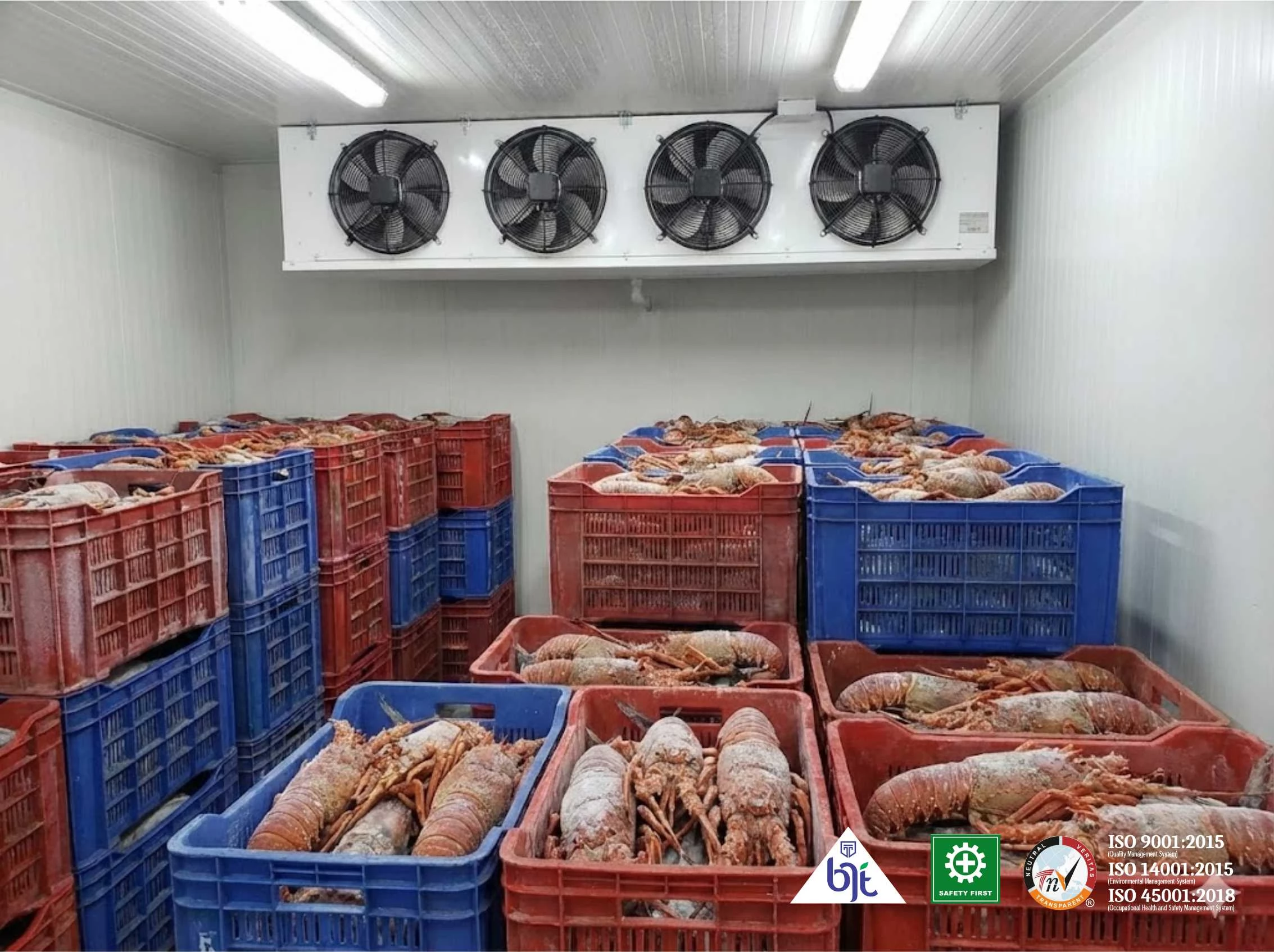 Keuntungan Cold Storage dalam Industri Seafood